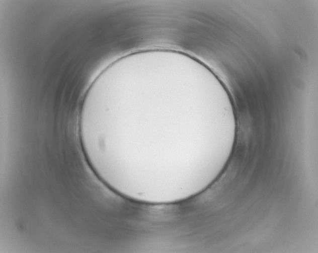 X0000114401390200911271509