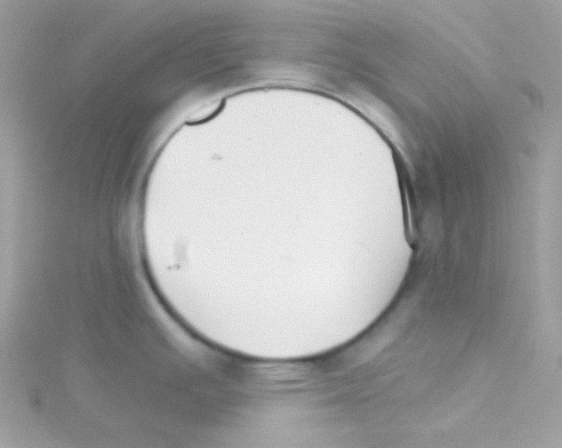 X0000114401391200911271509