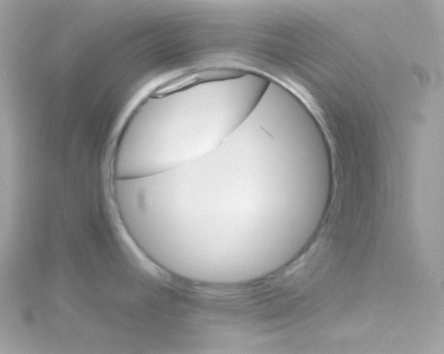 X0000114401392200911271509