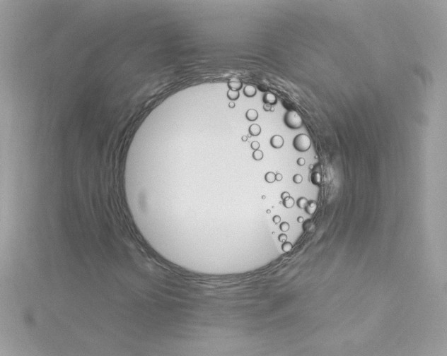 X0000114401394200911271509