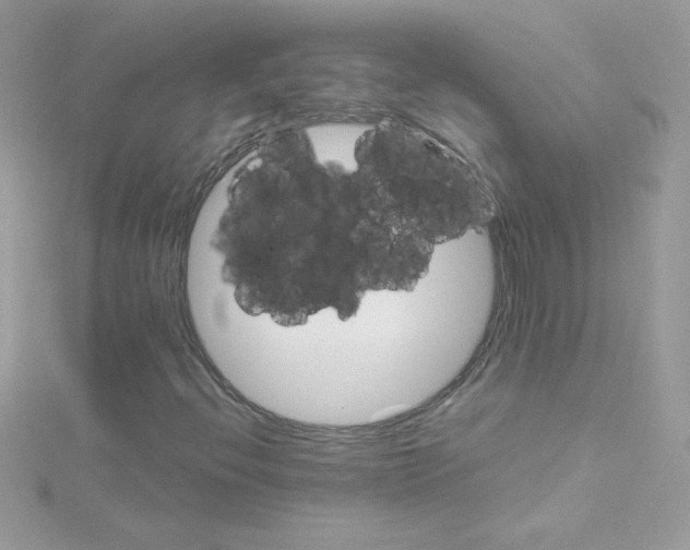 X0000114401396200911271509