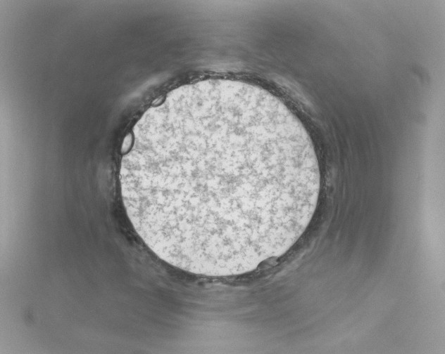 X0000114401398200911271509