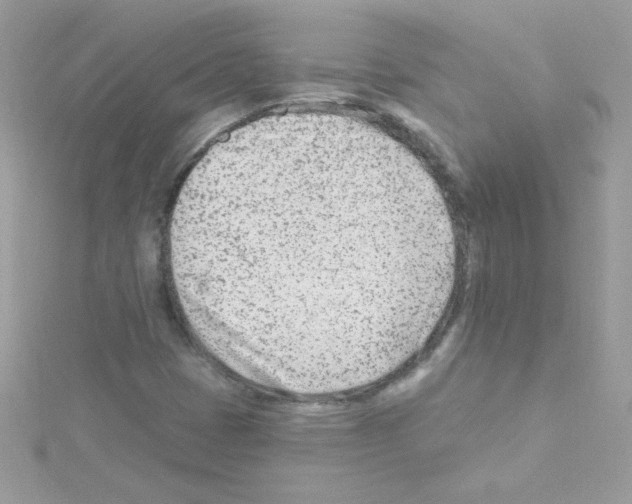 X0000114401401200911271509