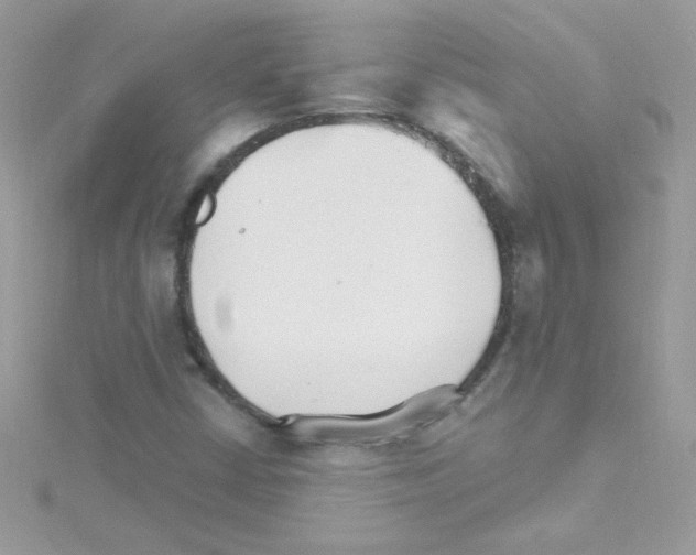 X0000114401402200911271509