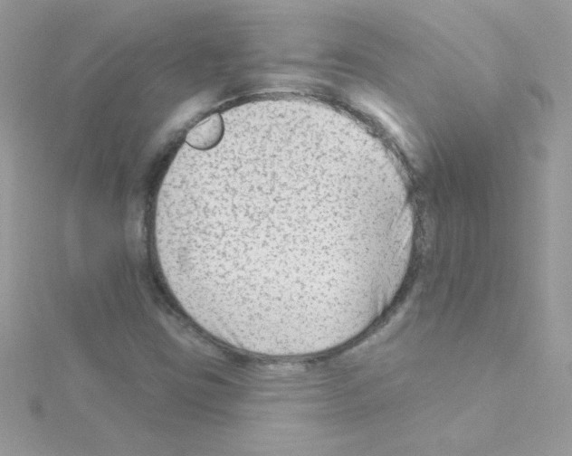 X0000114401403200911271509