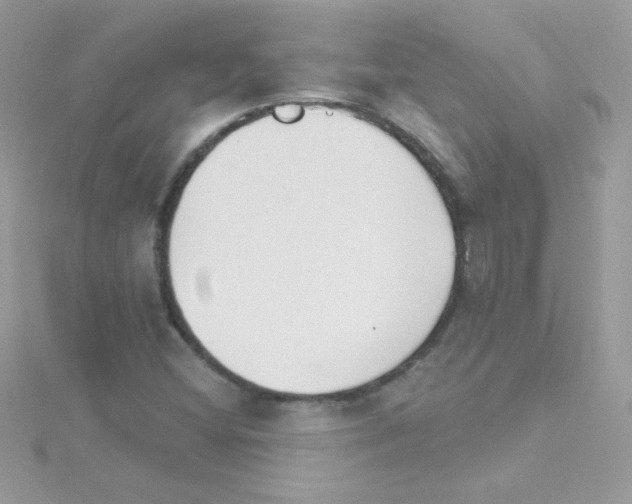 X0000114401404200911271509