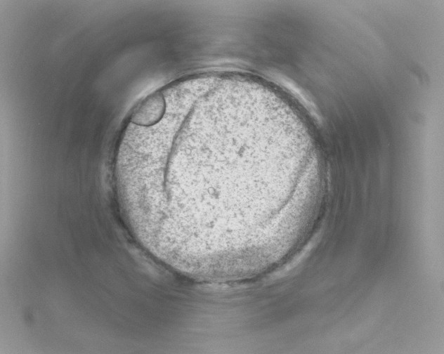 X0000114401405200911271509