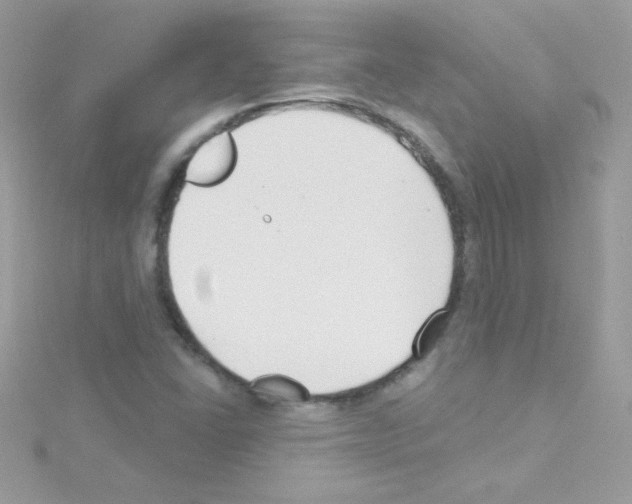 X0000114401406200911271509