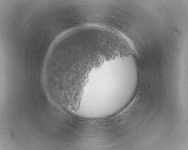 X0000114401411200911271509