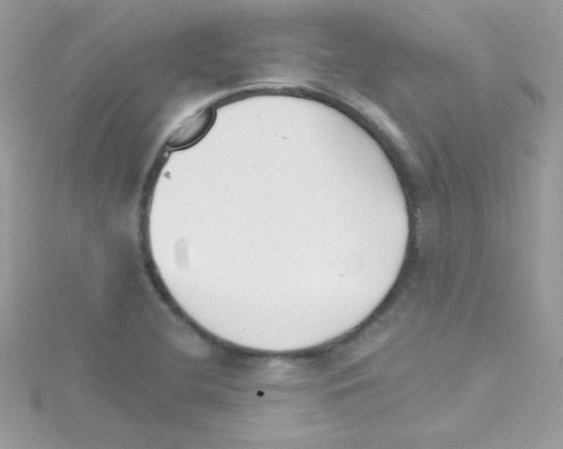 X0000114401412200911271509