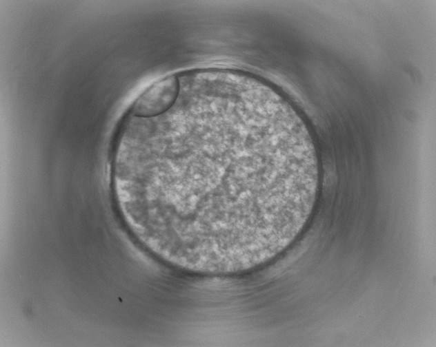 X0000114401414200911271509