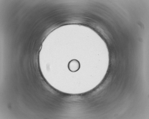 X0000114401417200911271509