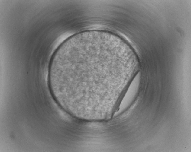 X0000114401418200911271509