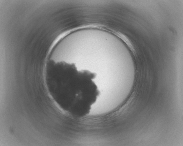 X0000114401420200911271509