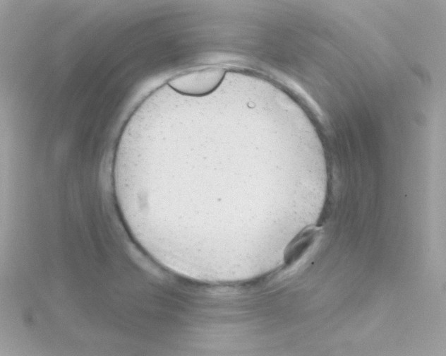 X0000114401421200911271509