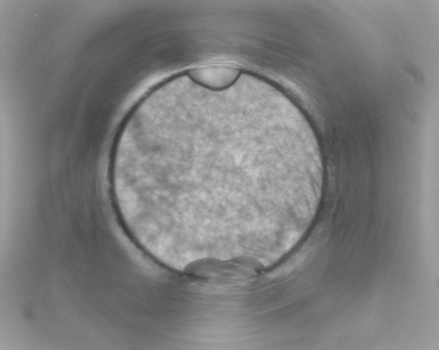 X0000114401422200911271509