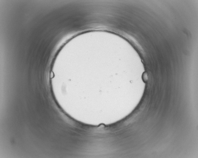 X0000114401424200911271509