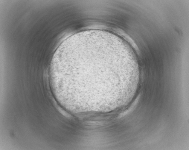 X0000114401425200911271509