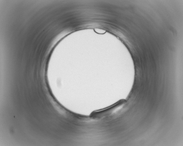 X0000114401426200911271509