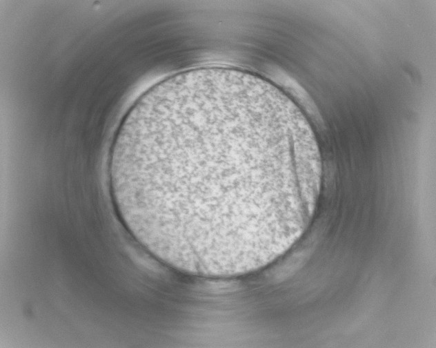 X0000114401427200911271509