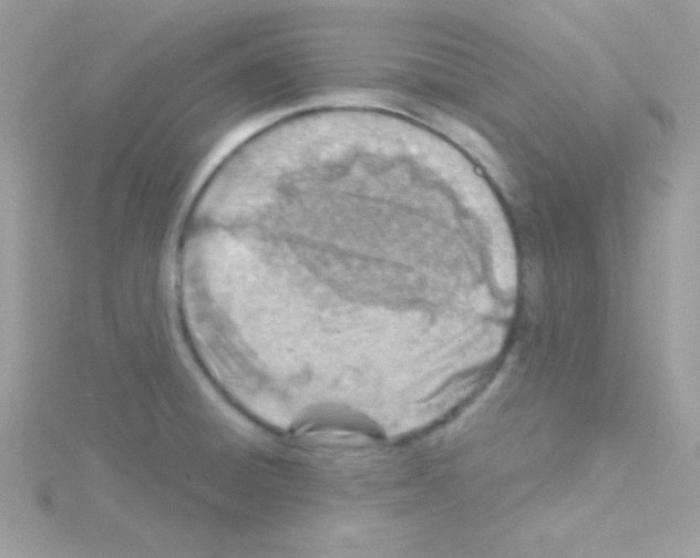 X0000114401428200911271509