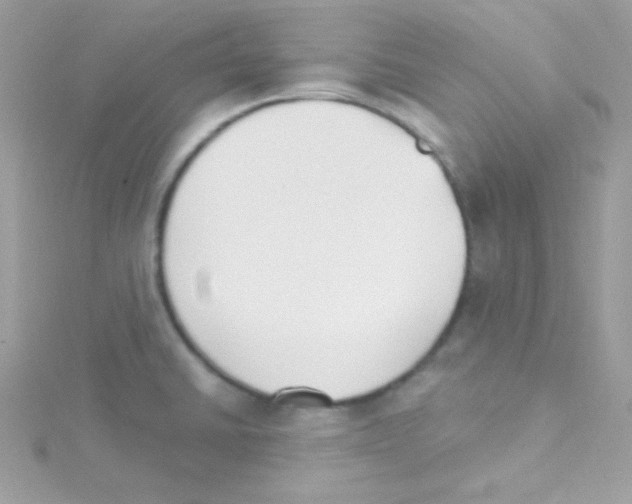 X0000114401430200911271509