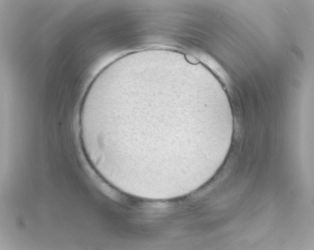 X0000114401431200911271509