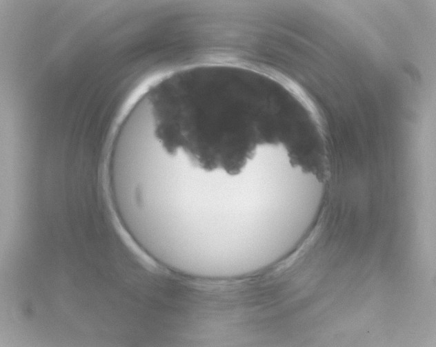 X0000114401432200911271509