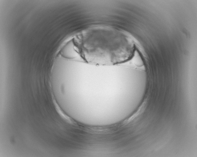 X0000114401433200911271509