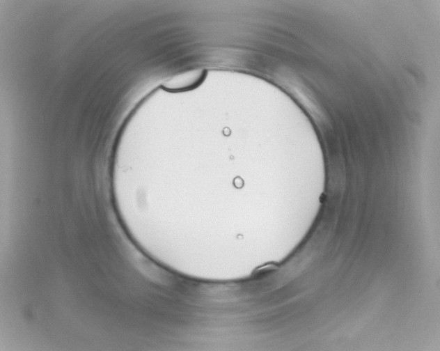 X0000114401434200911271509