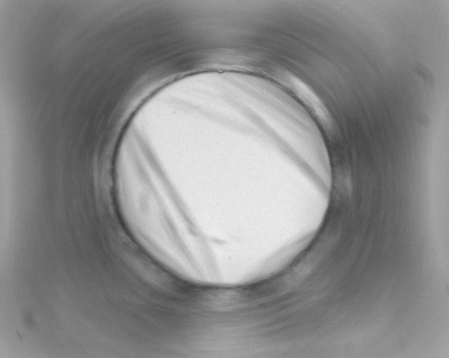 X0000114401435200911271509