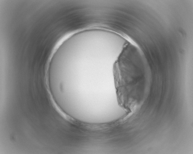 X0000114401437200911271509