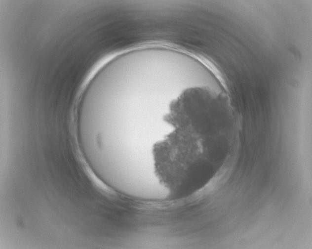 X0000114401438200911271509