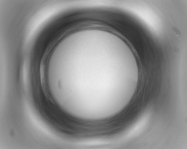 X0000114401439200911271509