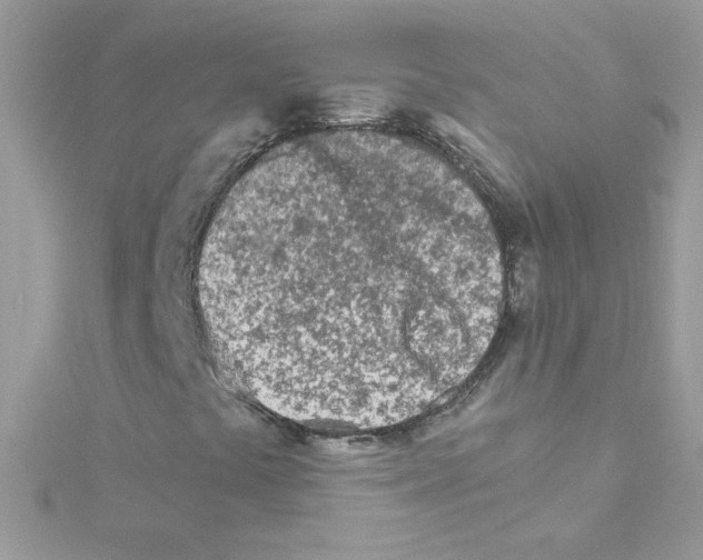 X0000114401441200911271508