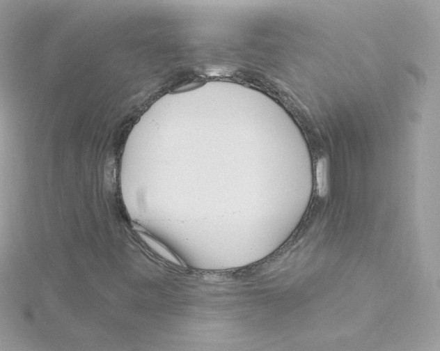 X0000114401443200911271508