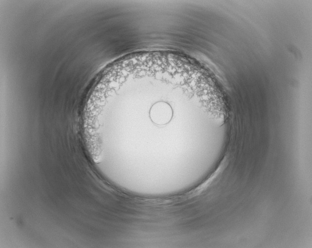 X0000114401449200911271508