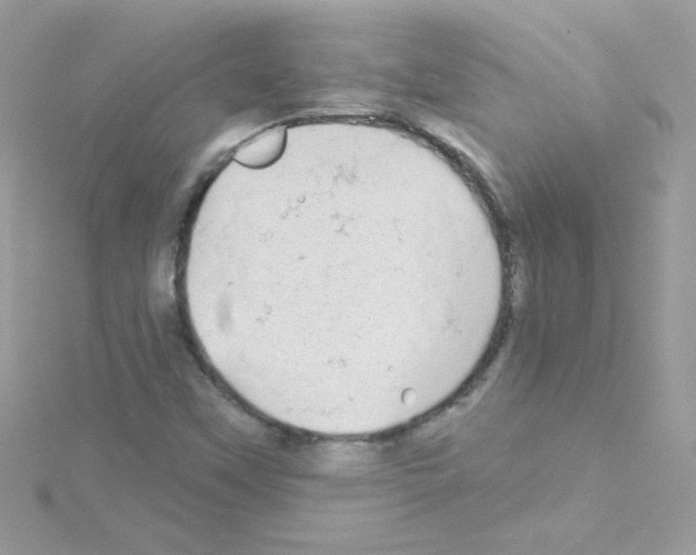 X0000114401451200911271508