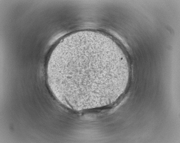 X0000114401453200911271508