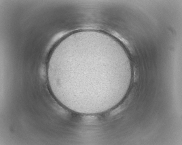 X0000114401454200911271508