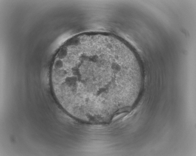 X0000114401455200911271508