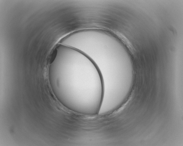 X0000114401457200911271508