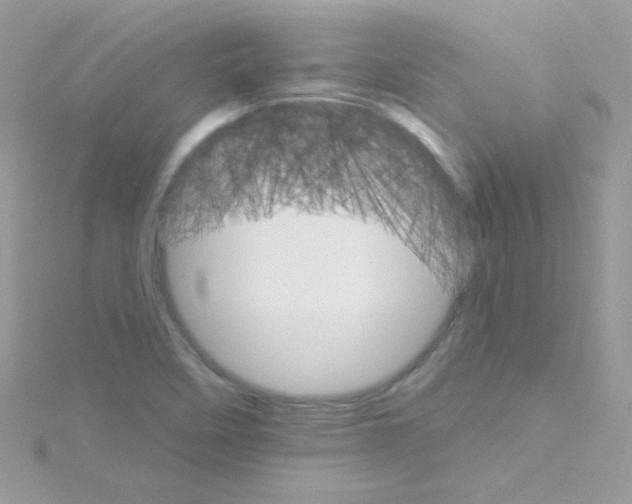 X0000114401458200911271508