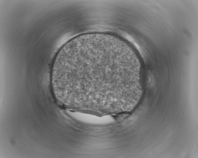 X0000114401459200911271508