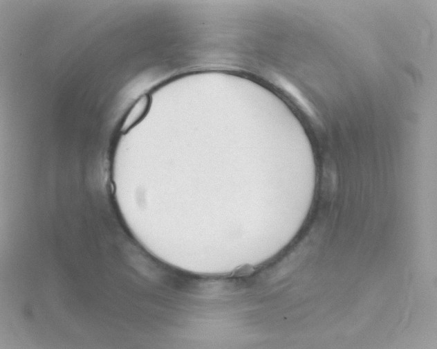 X0000114401461200911271508