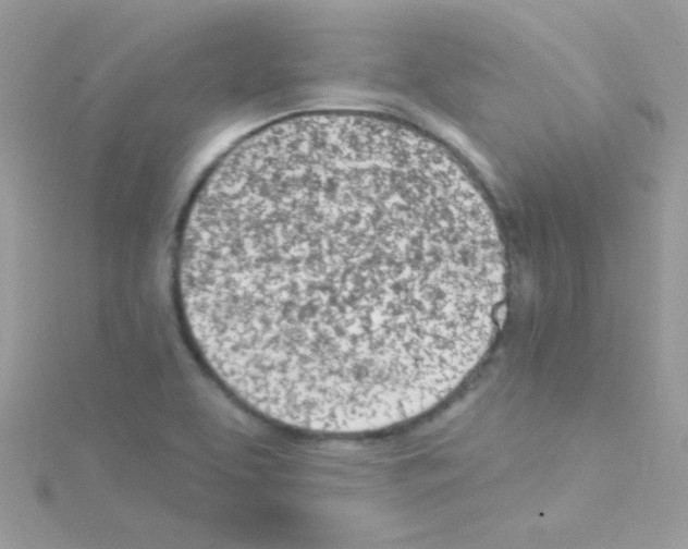 X0000114401463200911271508