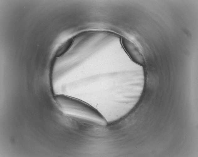 X0000114401464200911271508