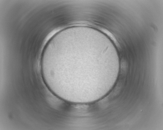 X0000114401466200911271508