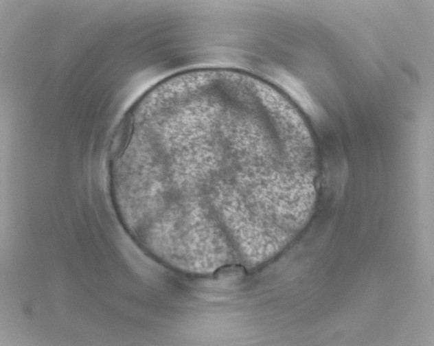 X0000114401468200911271508