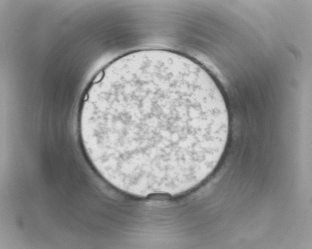 X0000114401469200911271508